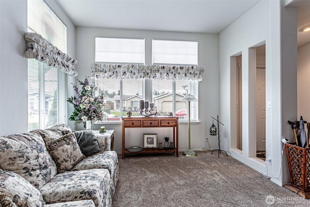 living area featuring carpet