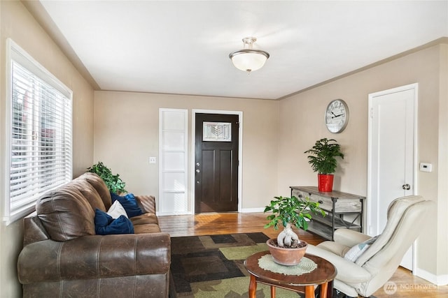 living room with baseboards and wood finished floors