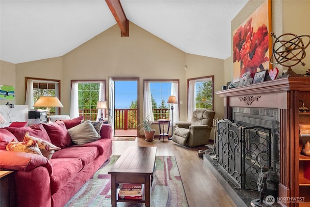 living room with beamed ceiling, a healthy amount of sunlight, a fireplace with raised hearth, and wood finished floors