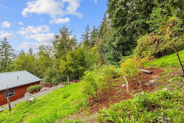 view of yard with a view of trees