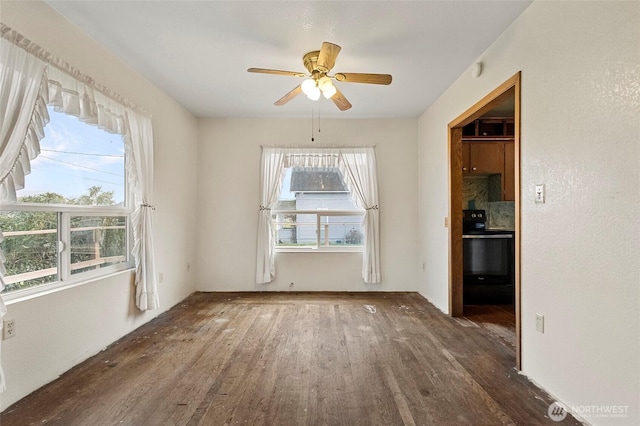 spare room with a wealth of natural light, a ceiling fan, and wood finished floors