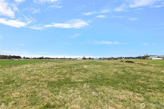 view of yard featuring a rural view