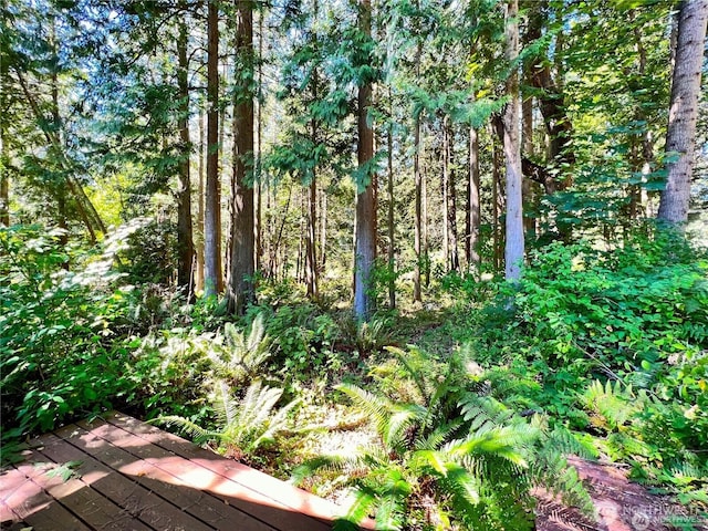 Listing photo 3 for 158 Tyee Dr, Point Roberts WA 98281