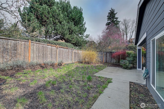 view of yard with a patio area and a fenced backyard