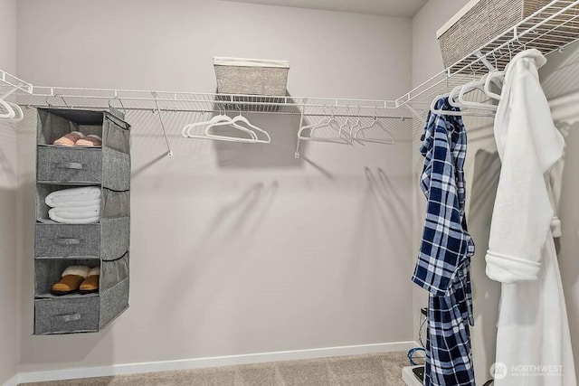 walk in closet featuring carpet flooring