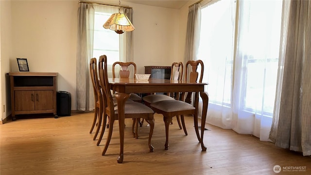 dining area featuring plenty of natural light and light wood-style floors