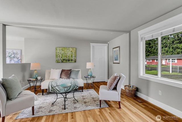 living room with baseboards and wood finished floors