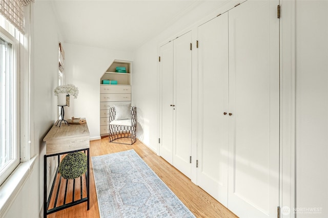 sitting room with light wood-type flooring