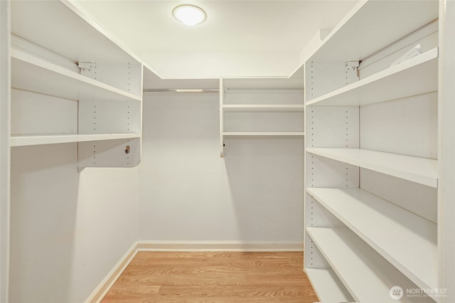 spacious closet featuring light wood-style floors