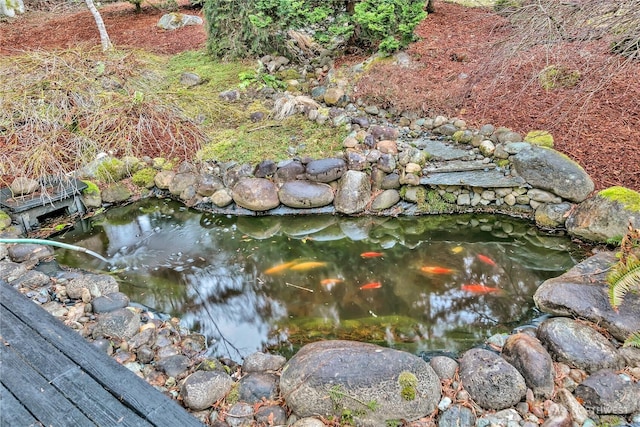 details featuring a small pond