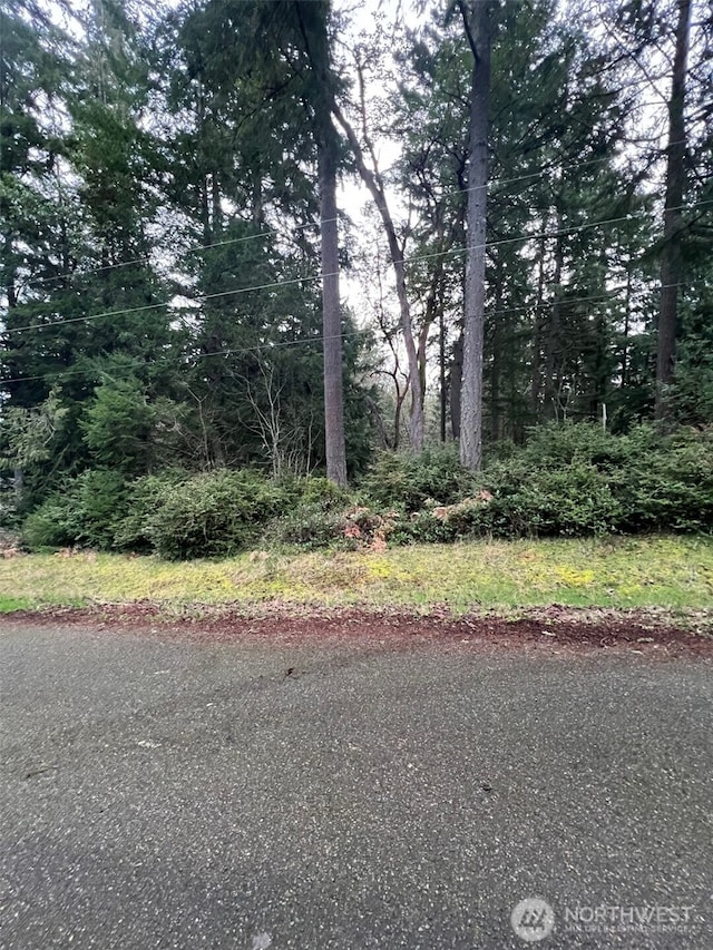 Listing photo 2 for 8615 Eckenstam Johnson Rd, Anderson Island WA 98303