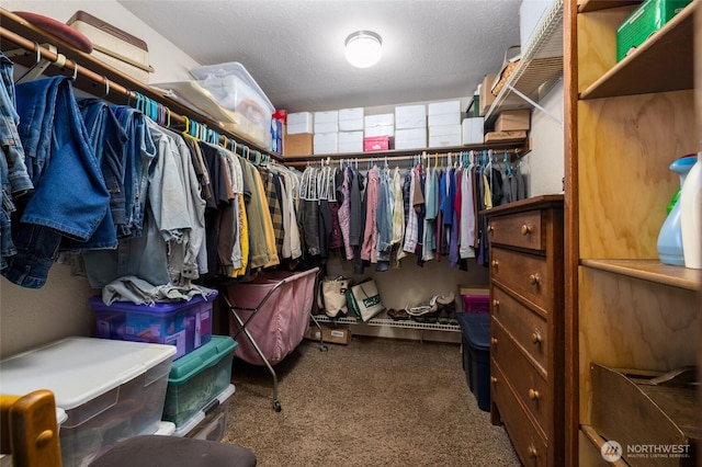 spacious closet with carpet flooring