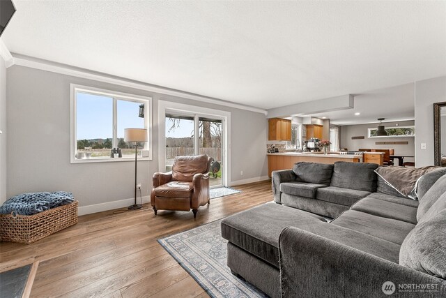 living area with light wood finished floors and baseboards