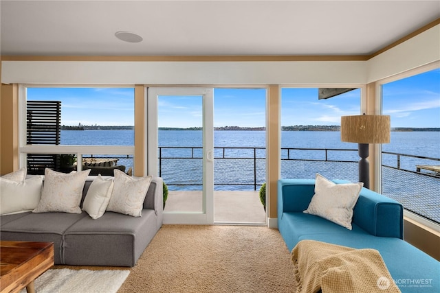 carpeted living room featuring a wealth of natural light and a water view