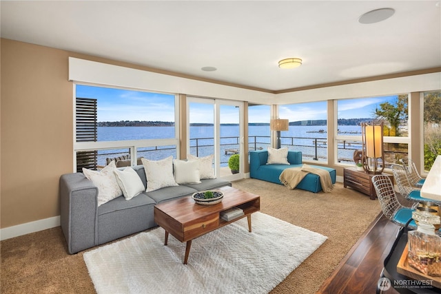 carpeted living area featuring baseboards and a water view