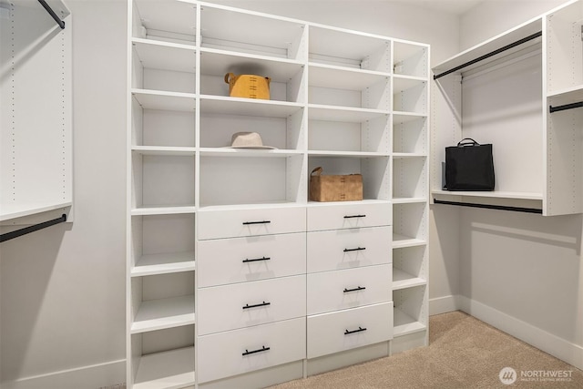 walk in closet with carpet