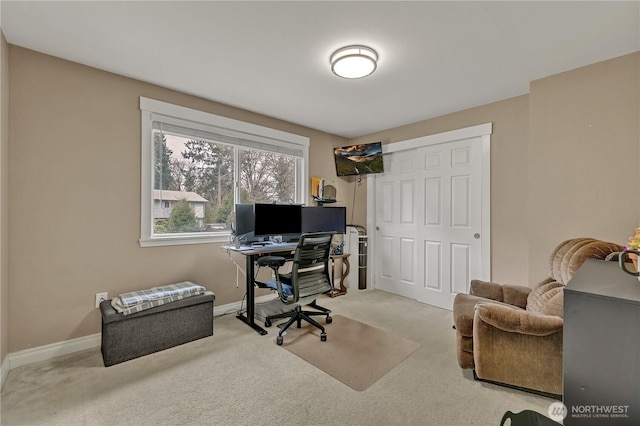 office with baseboards and carpet floors