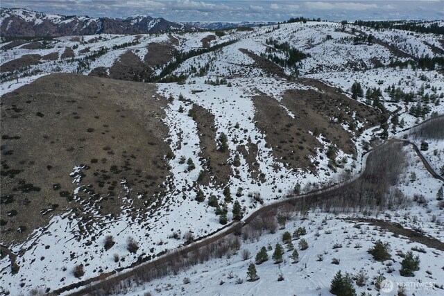 0 Oklahoma Gulch Rd, Chelan, WA 98816 - photo 9