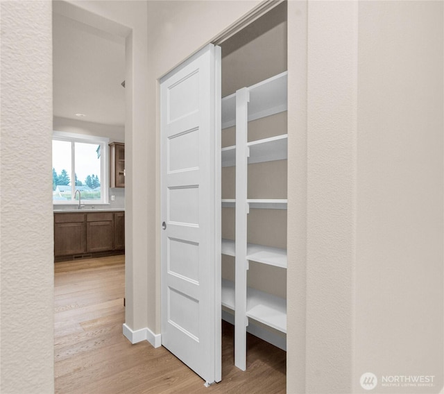 closet featuring a sink