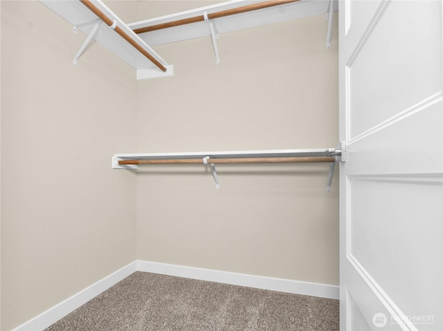 spacious closet with carpet floors