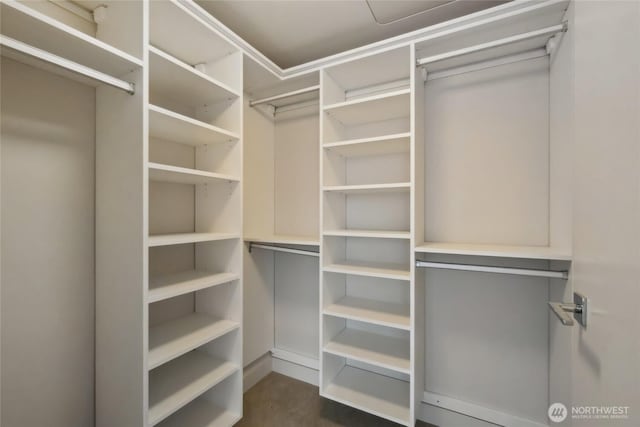 588 Bell St Unit 1603S, Seattle, WA 98121 - view of spacious closet