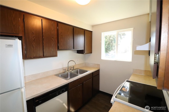 kitchen featuring a sink, dark wood finished floors, ventilation hood, white appliances, and light countertops