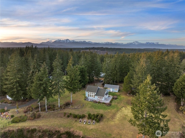 drone / aerial view featuring a mountain view and a view of trees