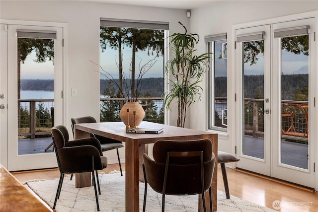 dining room featuring plenty of natural light and light wood-style flooring