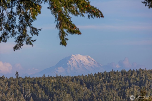 property view of mountains featuring a wooded view