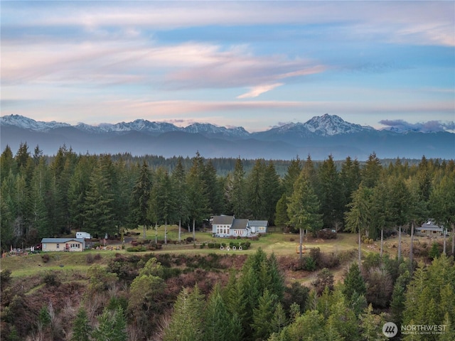 birds eye view of property featuring a mountain view and a wooded view