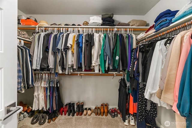 walk in closet featuring carpet