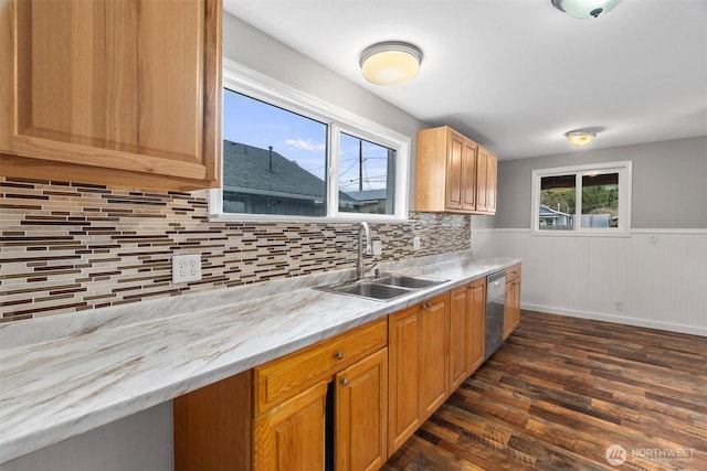 kitchen featuring dark wood-style floors, a sink, decorative backsplash, wainscoting, and stainless steel dishwasher