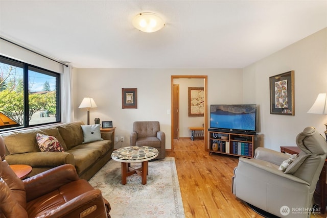 living room with light wood-type flooring