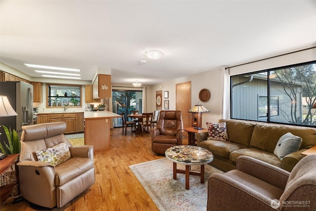 living room with light wood-style flooring