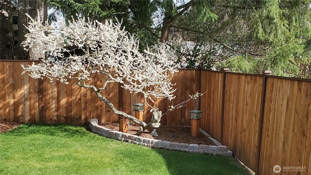 view of yard featuring fence private yard