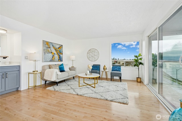 living room with light wood-style flooring and a textured ceiling