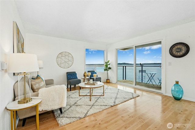 living area featuring baseboards and wood finished floors