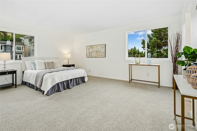 bedroom featuring baseboards, multiple windows, and carpet floors