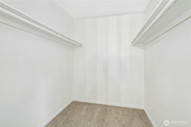 spacious closet featuring light carpet