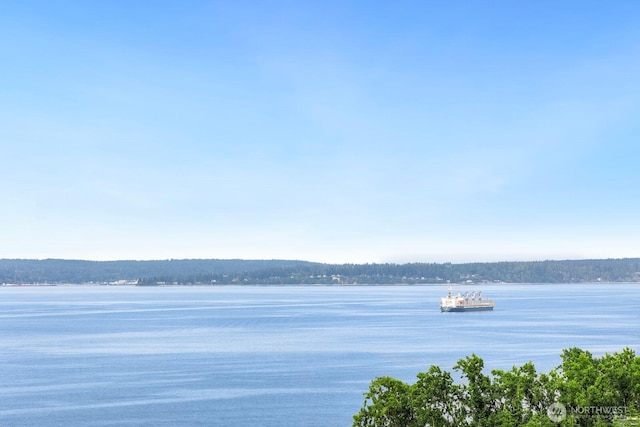 property view of water with a wooded view