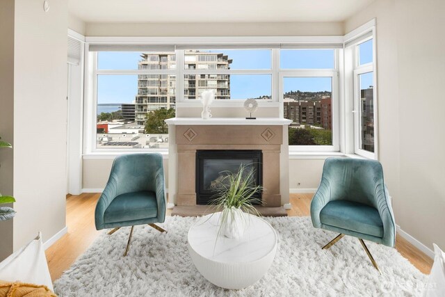 living area featuring baseboards, a fireplace with flush hearth, and wood finished floors