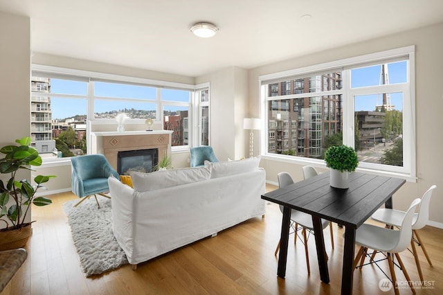 living area featuring a glass covered fireplace, a wealth of natural light, and wood finished floors