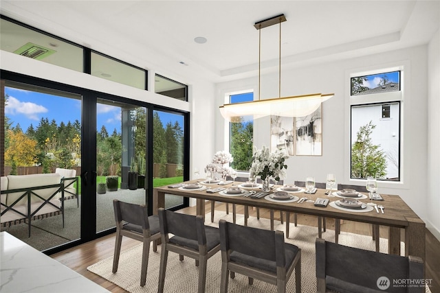 dining area featuring a raised ceiling, plenty of natural light, and wood finished floors