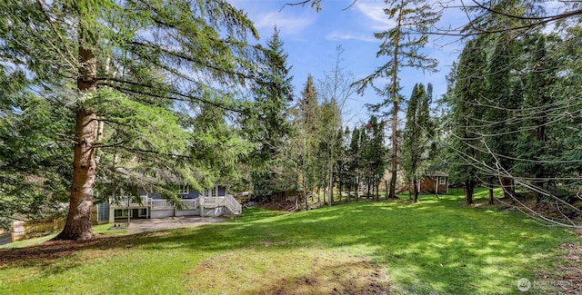 view of yard featuring a wooden deck and a patio area