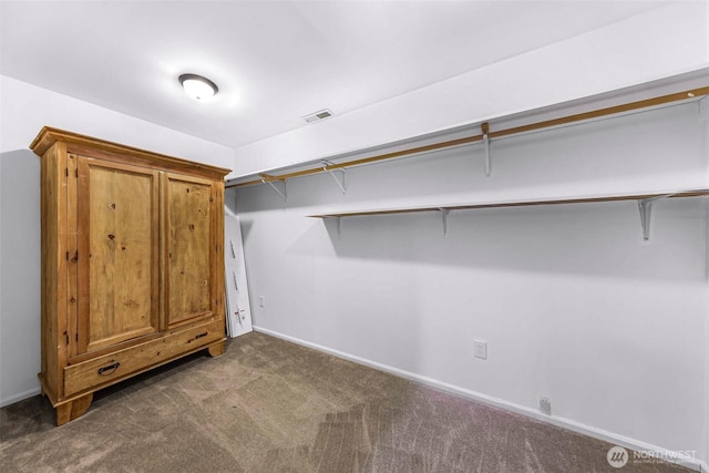 spacious closet featuring visible vents and carpet