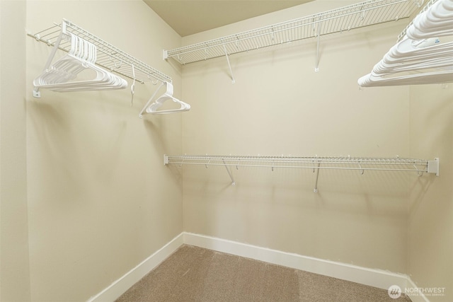 spacious closet with carpet