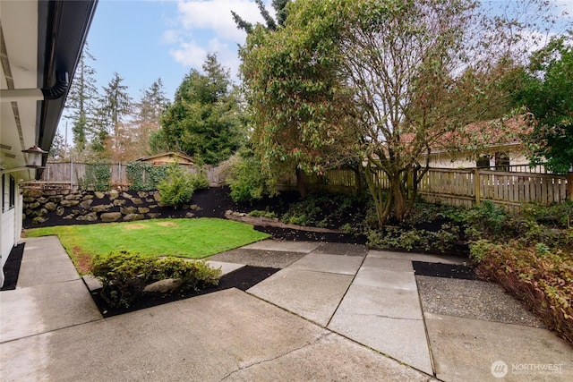 view of yard with a patio area and a fenced backyard