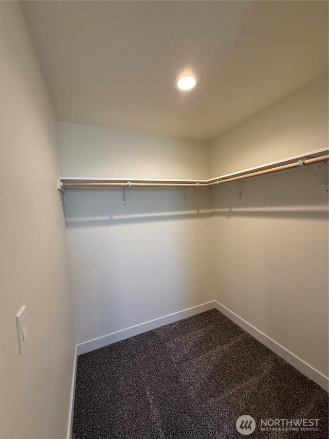 walk in closet featuring dark carpet