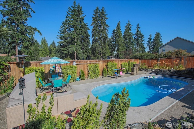 view of swimming pool with a fenced in pool, a fenced backyard, and a patio area