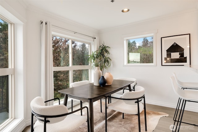 dining area featuring crown molding, wood finished floors, baseboards, and a wealth of natural light